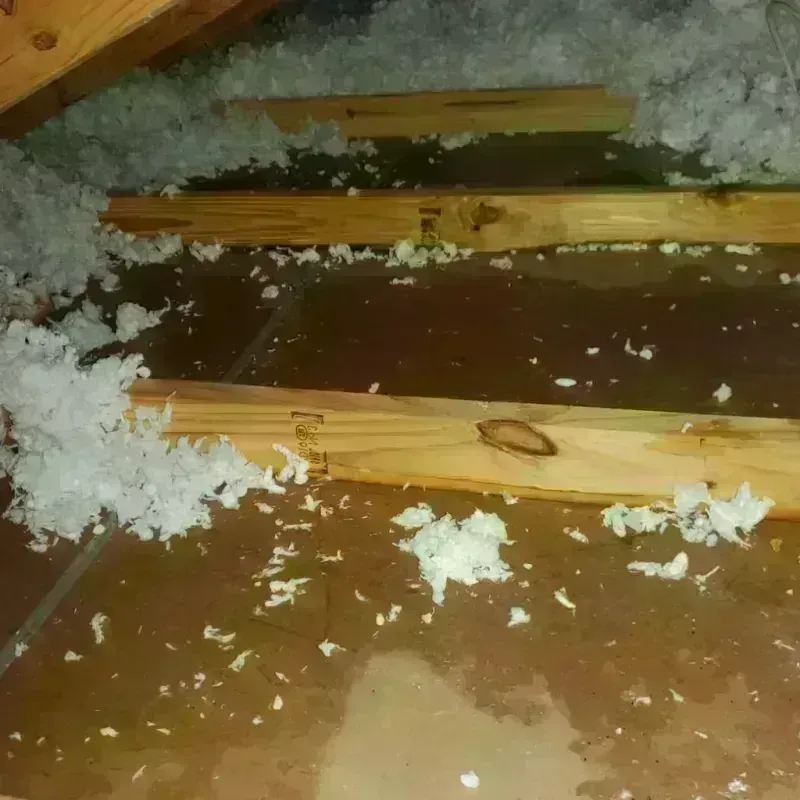 Attic Water Damage in Orinda, CA